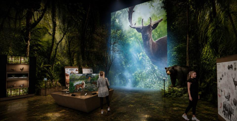 Visitors in an immersive forest-diorama gallery